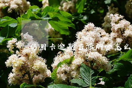 信用卡逾期后滞纳金怎么追回