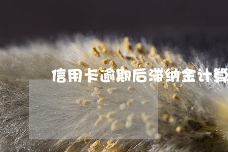 信用卡逾期后滞纳金计算多久