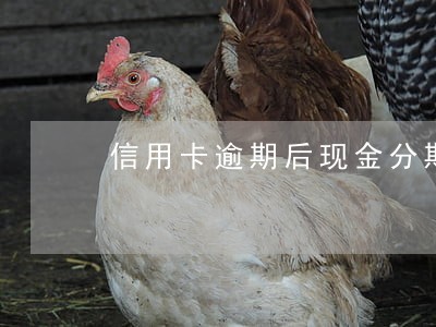 信用卡逾期后现金分期属于本金吗