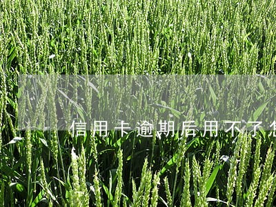 信用卡逾期后用不了怎么办
