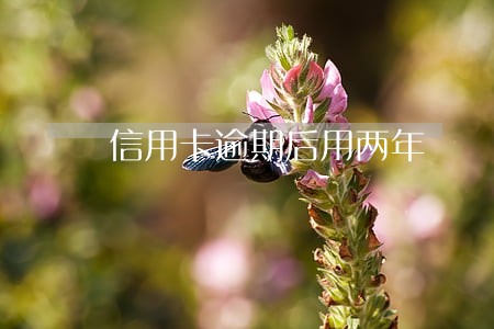信用卡逾期后用两年