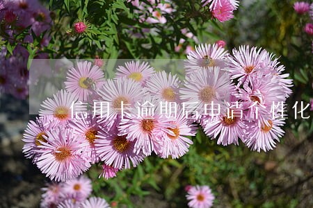 信用卡逾期后申请个性化还款 信用卡逾期后申请个性化还款