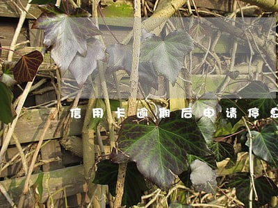 信用卡逾期后申请停息分期