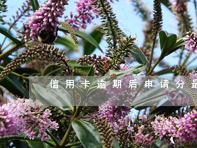 信用卡逾期后申请分最长期限 信用卡逾期后申请分最长期限