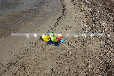信用卡逾期后申请分期还能再用吗 信用卡逾期后申请分期还能再用吗