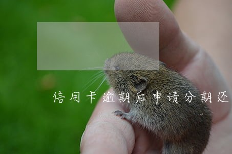 信用卡逾期后申请分期还能在用吗 信用卡逾期后申请分期还能在用吗