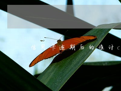 信用卡逾期后的催讨cx