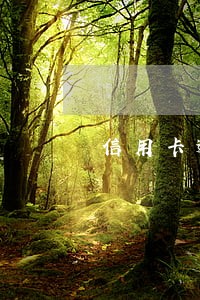 信用卡逾期后的几个阶段 信用卡逾期后的几个阶段