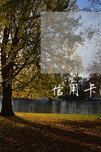 信用卡逾期后的利息最高有多少 信用卡逾期后的利息最高有多少