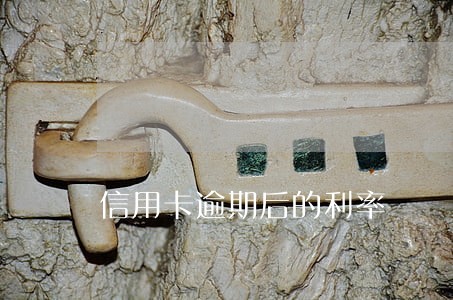 信用卡逾期后的利率 信用卡逾期后的利率