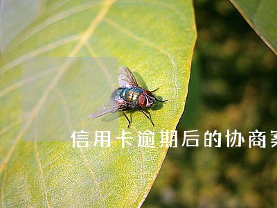 信用卡逾期后的协商案例
