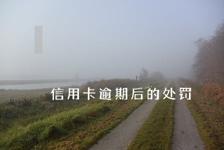 信用卡逾期后的处罚 信用卡逾期后的处罚