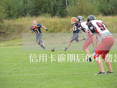 信用卡逾期后的年费是怎么算的 信用卡逾期后的年费是怎么算的