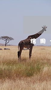 信用卡逾期后的忠告 信用卡逾期后的忠告