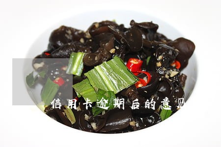 信用卡逾期后的意见 信用卡逾期后的意见