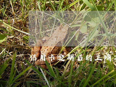 信用卡逾期后的正确方法