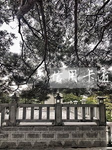 信用卡逾期后的法律责任 信用卡逾期后的法律责任