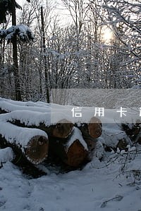 信用卡逾期后的第一件事 信用卡逾期后的第一件事