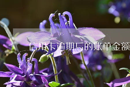 信用卡逾期后的账单金额 信用卡逾期后的账单金额