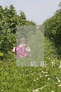 信用卡逾期后的费用是多少 信用卡逾期后的费用是多少