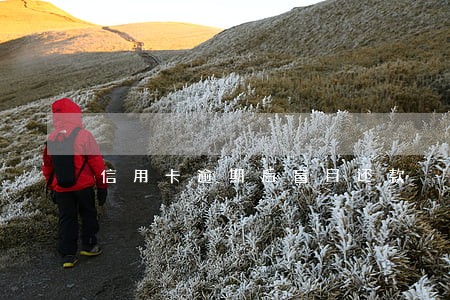 信用卡逾期后盲目还款 信用卡逾期后盲目还款