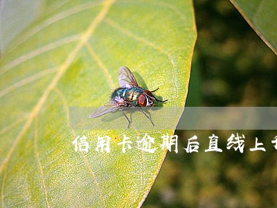 信用卡逾期后直线上升 信用卡逾期后直线上升