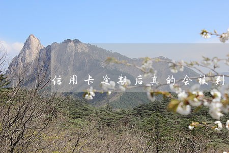 信用卡逾期后真的会被判入狱吗