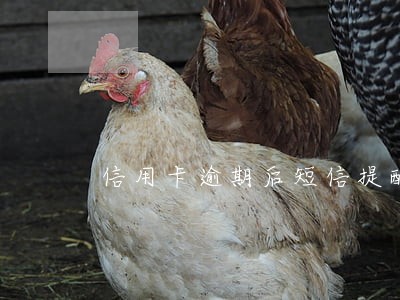 信用卡逾期后短信提醒开庭 信用卡逾期后短信提醒开庭