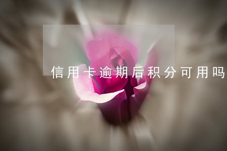 信用卡逾期后积分可用吗 信用卡逾期后积分可用吗
