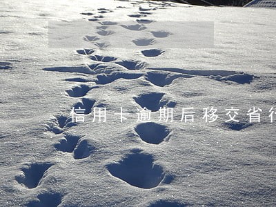 信用卡逾期后移交省行 信用卡逾期后移交省行