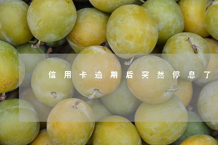 信用卡逾期后突然停息了 信用卡逾期后突然停息了