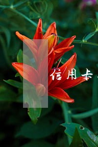 信用卡逾期后突然收到短信通知 信用卡逾期后突然收到短信通知