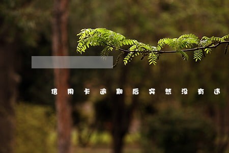 信用卡逾期后突然没有违约金 信用卡逾期后突然没有违约金