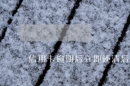 信用卡逾期后立即还清后销户 信用卡逾期后立即还清后销户