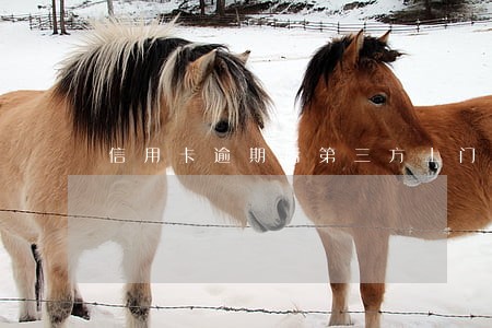 信用卡逾期后第三方上门怎么办