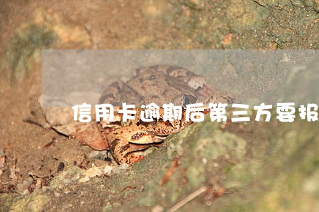信用卡逾期后第三方要报警 信用卡逾期后第三方要报警
