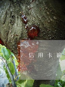 信用卡逾期后算月月还吗 信用卡逾期后算月月还吗