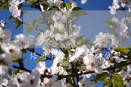 信用卡逾期后精神分裂 信用卡逾期后精神分裂