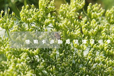 信用卡逾期后结清证明多久下来 信用卡逾期后结清证明多久下来