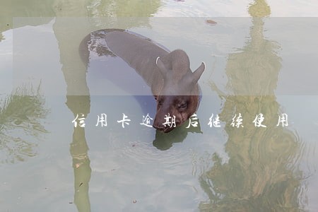 信用卡逾期后继续使用 信用卡逾期后继续使用