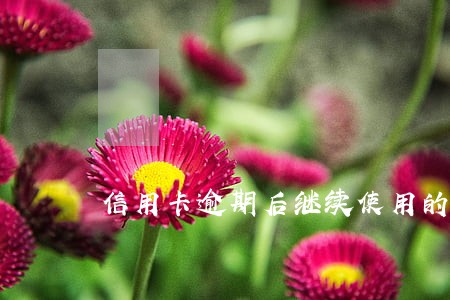 信用卡逾期后继续使用的好处 信用卡逾期后继续使用的好处
