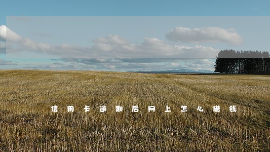 信用卡逾期后网上怎么借钱 信用卡逾期后网上怎么借钱