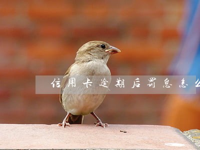 信用卡逾期后罚息怎么处理 信用卡逾期后罚息怎么处理