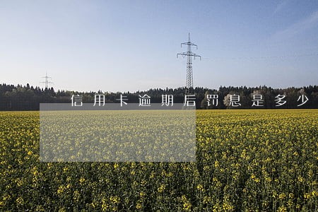 信用卡逾期后罚息是多少 信用卡逾期后罚息是多少