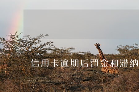 信用卡逾期后罚金和滞纳金合法吗
