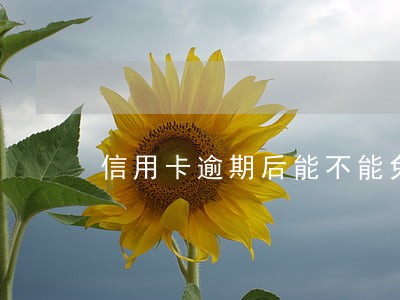 信用卡逾期后能不能免利息