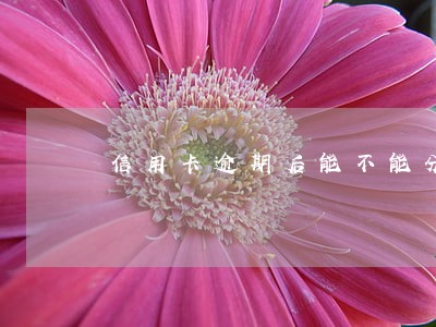 信用卡逾期后能不能分期买车 信用卡逾期后能不能分期买车