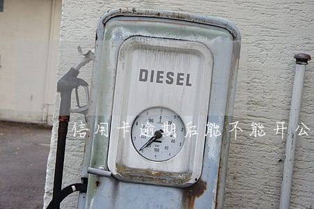 信用卡逾期后能不能开公司 信用卡逾期后能不能开公司