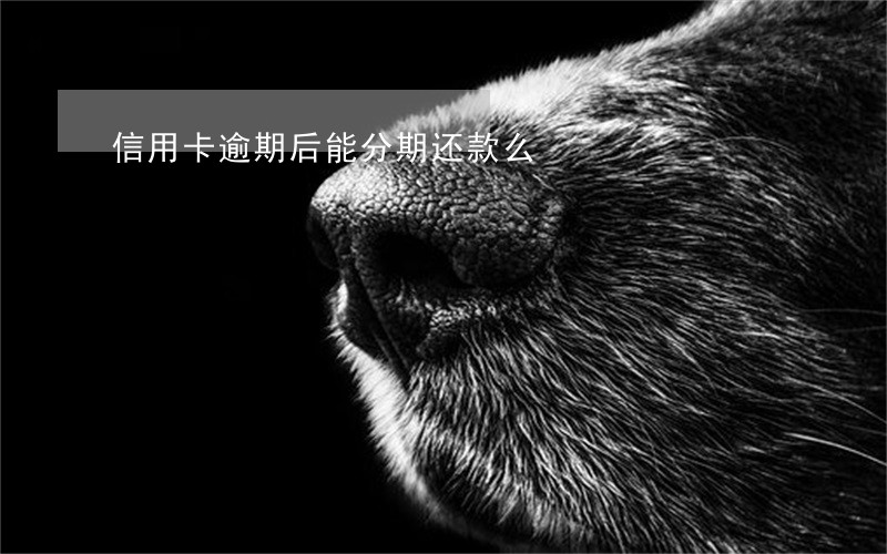 信用卡逾期后能分期还款么