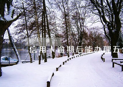 信用卡逾期后能办理五年六十期吗